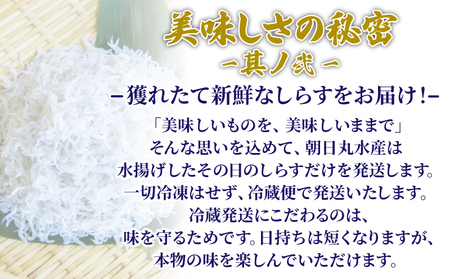 釜揚げ しらす 1kg 国産 徳島県産 和田島産 とれたて 新鮮 産地直送 冷蔵 発送 小分け 250g 4袋 セット 和田島しらす ちりめん 魚介類 魚 小魚 【北海道・東北・沖縄・離島への配送不可