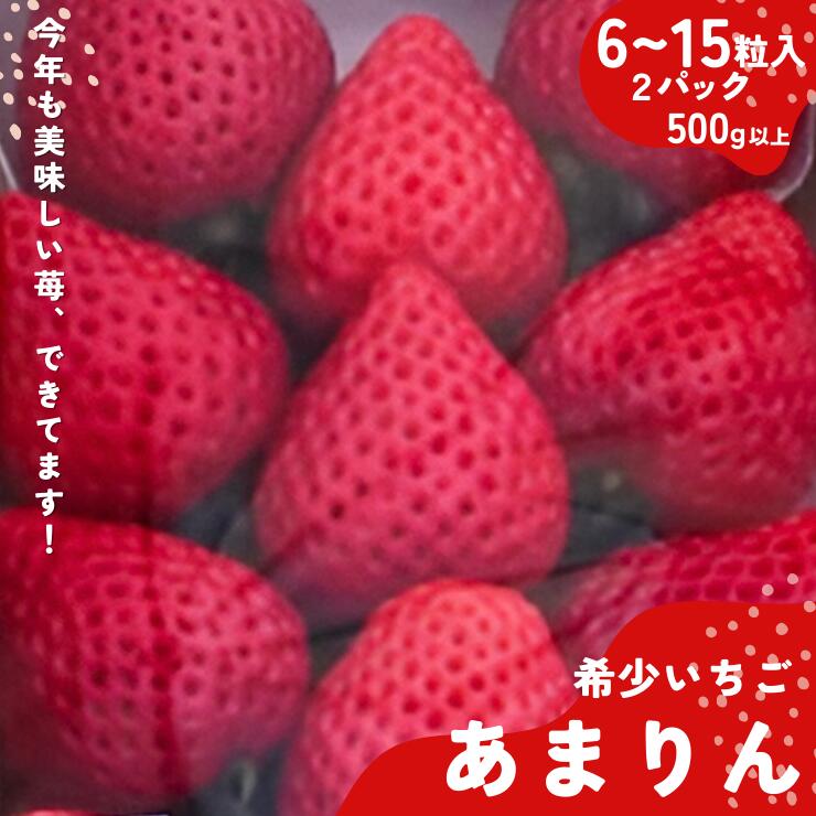 【ふるさと納税】埼玉生まれの希少いちご『あまりん2パック入り』（1パック6～15粒、2パックの合計500g以上）【潰れが気にならない方限定】【苺】イチゴ あかい 果物 いちご フルーツ 期間限定 人気いちご 甘い いちご 旬 直送 おすすめ いちご ストロベリー 苺ジャム