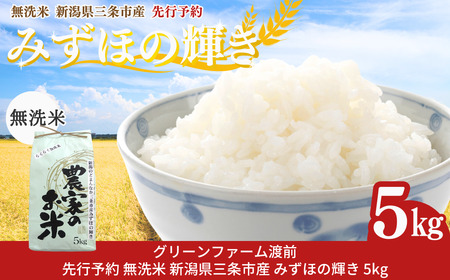 先行予約 新潟県三条市産 みずほの輝き 無洗米 5kg  無洗米 新潟県三条市産 令和7年産 無洗米 2025年産 無洗米