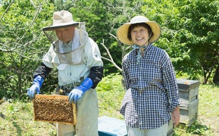 3種富岡国産純粋はちみつセット(各100g) 計6本(3種×2本) アカシア蜂蜜 百花はちみつ 栗はちみつ 国産 天然 ハチミツ 蜂蜜 はちみつ 食べ比べ セット F20E-715