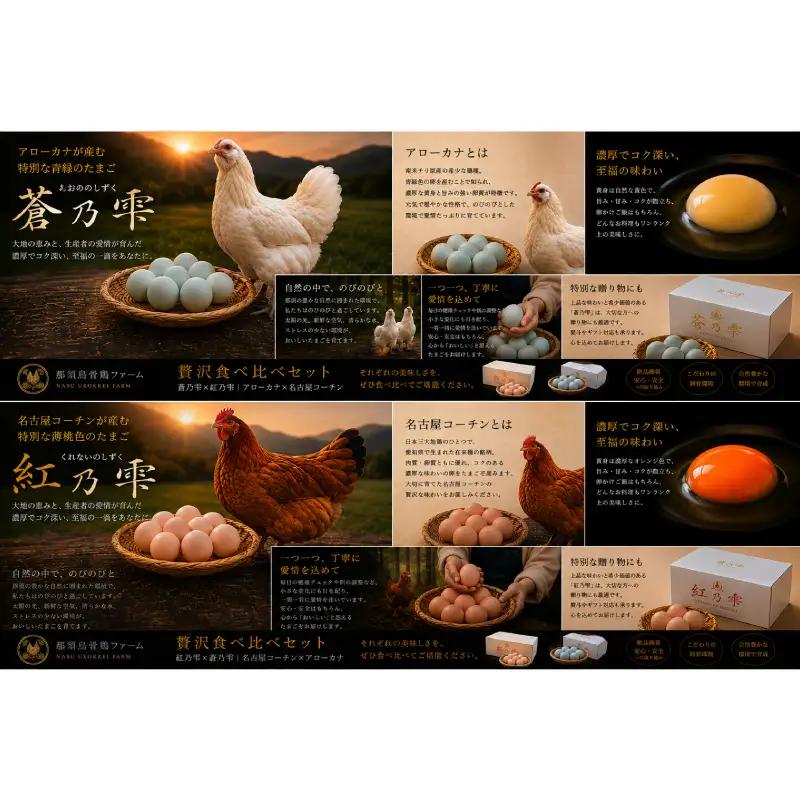 贅沢食べ比べセット（紅乃雫×蒼乃雫／名古屋コーチン×アローカナ） 【ns150-002】