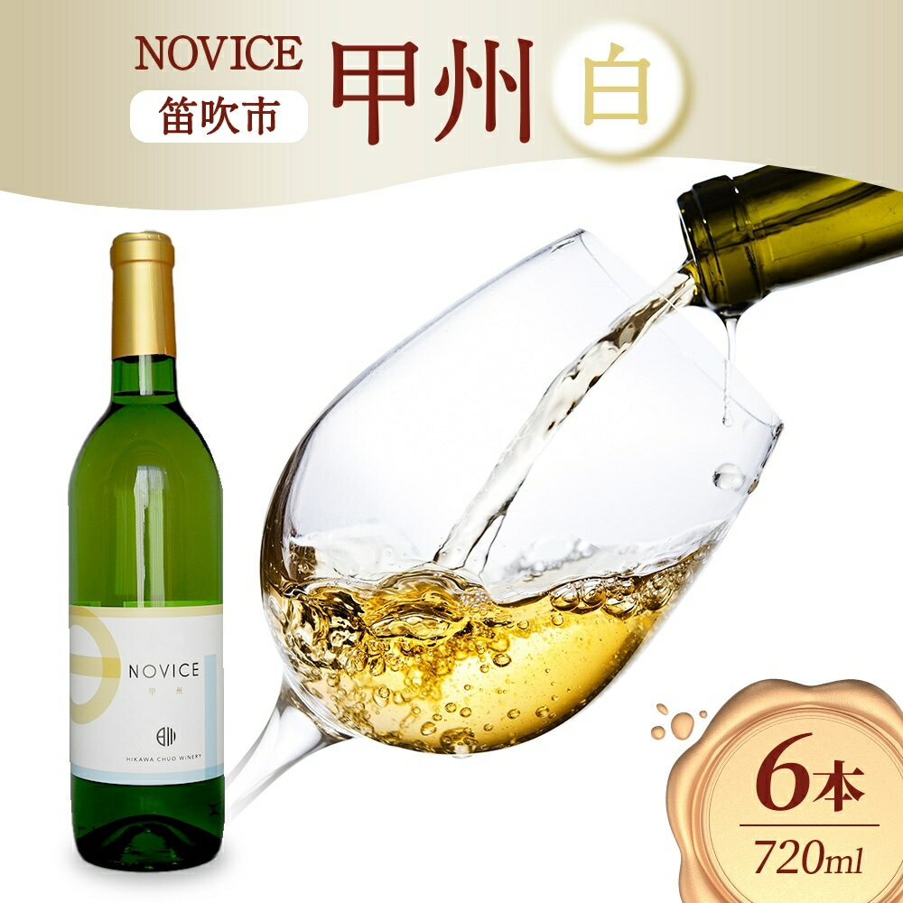 【ふるさと納税】白ワイン NOVICEノヴィス 甲州 720ml×6本 フルボトル 日川中央葡萄酒 山梨県 笛吹市 ふるさと納税 ワイン 甲州 白ワイン 酒 果実酒 ギフト 家飲み パーティー 送料無料 山梨県 笛吹市 177-7-30