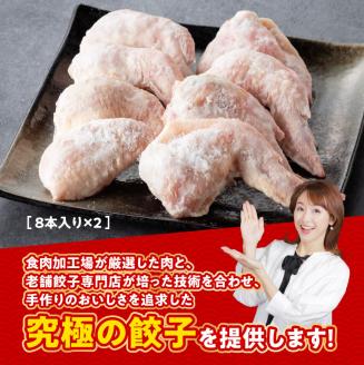 【12ヶ月定期便】宮崎 手羽ぎょうざ 16本 1kg　鶏肉餃子鳥ギョウザ手羽先ぎょうざ手羽餃子ぎょうざギョーザ定期便おつまみ餃子送料無料餃子 [E7214t12]