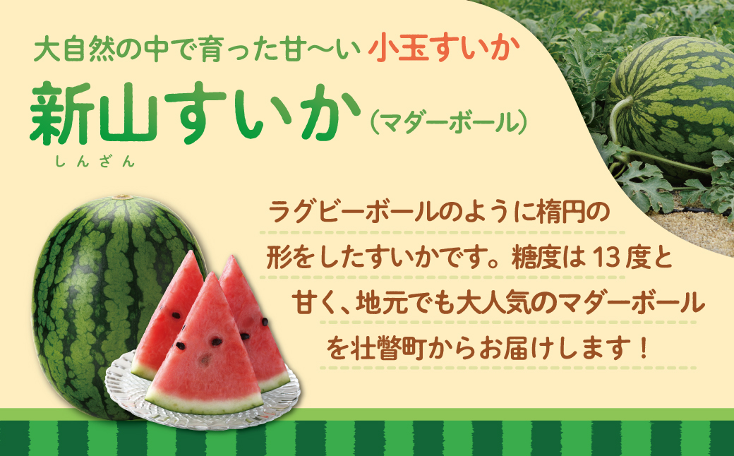 ＜2025年8月上旬よりお届け＞北海道壮瞥産　新山すいか 小玉すいか（マダーボール）Lサイズ2玉 スイカ SBTN002