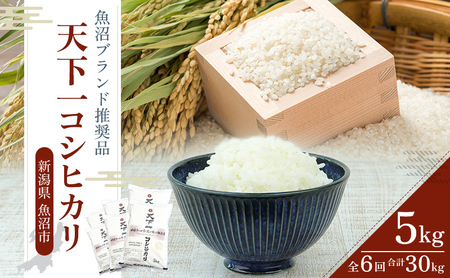 定期便 魚沼産 天下一コシヒカリ 5kg 全 6回 （ 米 コシヒカリ こしひかり 定期 お米 こめ コメ おこめ 白米 魚沼 新潟 魚沼産コシヒカリ 魚沼産こしひかり お楽しみ ） 新潟県 