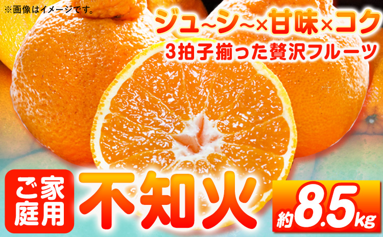 【先行予約】【ご家庭用】紀州有田産不知火(しらぬひ) 約8.5kg 株式会社魚鶴《2026年2月中旬-3月中旬頃出荷》 和歌山県 日高町 不知火 しらぬい 柑橘 ご家庭用