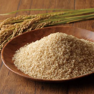 ふるさと納税 半田市 令和7年産　稲穂のしずく　玄米　30kg