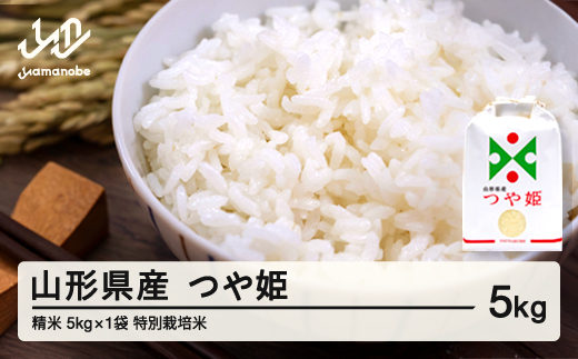
                  【先行予約】新米 つや姫 精米 5kg 配送時期選べる 令和8年産 2026年産 山形県産 ※沖縄・離島への配送不可 on-tsxxb5
                