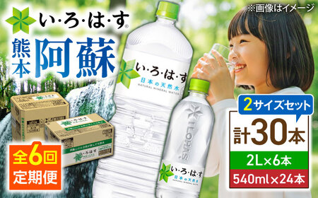 全6回定期便 い・ろ・は・す 天然水 2L×6本(1ケース)＋540ml×24本(1ケース) 飲み物 BHAO019 飲み物