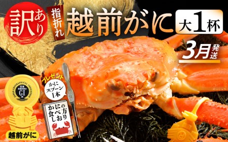 訳あり【3月発送】越前がに本場の越前町からお届け！浜茹で越前かに 大サイズ × 1杯  [e15-x005_03] カニ かに 越前がに 越前ズワイガニ 越前かに 越前カニ 姿 