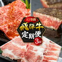 【ふるさと納税】【定期便】A5 飛騨牛 3回 定期便 計 1.05kg 3ヶ月 食べ比べ A5等級 5等級 a5 牛肉 肉 和牛 国産牛 黒毛和牛 焼肉 やきにく ヤキニク すき焼き すきやき しゃぶしゃぶ サイコロステーキ 赤身 霜降り お楽しみ トキノ屋食品 本巣市 [mt353] 40000円 四万円