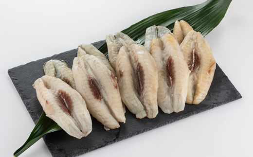 【訳アリ】真フグ一夜干し約500g【配送不可地域:離島】