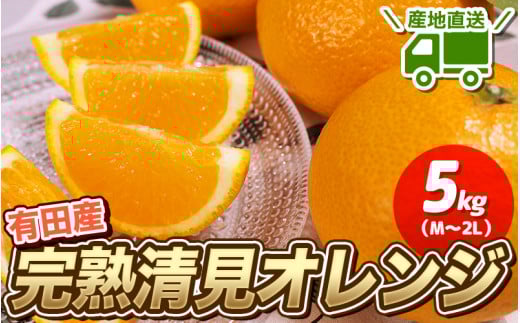 【先行予約】 ＼ みかんの名産地 和歌山県産／ 農家直送 完熟清見オレンジ 5kg (M～２Lサイズおまかせ) ひとつひとつ手選別で厳選【2026年3月中旬～4月下旬頃発送予定】/ みかん 有田みかん オレンジ 柑橘 フルーツ くだもの 果物【hdm003A】