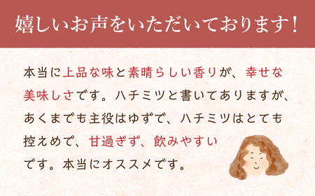 【全12回定期便】ゆずみつ 200ml 2本 柚子 熊本 山都町 柚子みつ はちみつ ゆず 柚子果汁 ゆず果汁 柚子の香り ゆずフレーバー ゆずの香り【本田農園】[YDL036] 120000 120