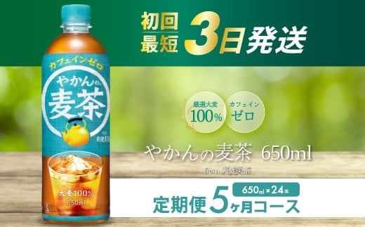 【5か月定期便】やかんの麦茶 from 爽健美茶 PET 650ml×24本(1ケース) ペットボトル お茶 むぎ茶 飲料 カフェインゼロ 箱買い まとめ買い 防災 備蓄 014008