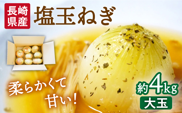【2026年3月中旬～発送】【柔らかくて甘い！】塩玉ねぎ 約4kg（大玉）/ 新たまねぎ 新玉ねぎ 新タマネギ 玉ネギ 玉ねぎ たまねぎ タマネギ / 南島原市 / 長崎県農産品流通合同会社 [SCB055]