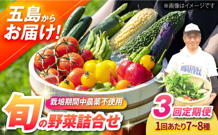 【全3回定期便】自然栽培・旬の野菜詰め合わせ 五島市/ぷらっと農園 [PDS007]