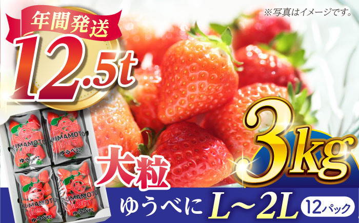 
            大粒いちご L～2L ゆうべに 3kg（12pc）【熊本ベリー】フルーツ 果物 くだもの いちご イチゴ 苺 ゆうべに 大粒いちご 国産 熊本県産 九州産 [ZER003]
          