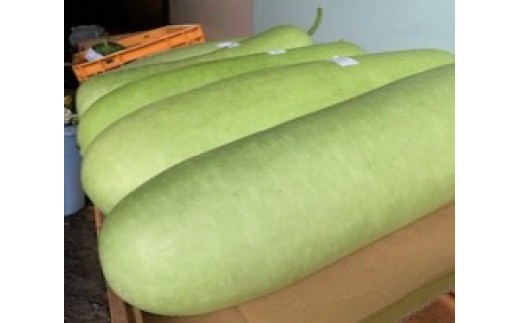 夏の時期は、地元の産直やスーパー店頭にも並びます！