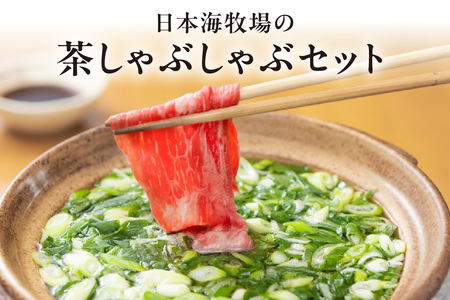 京たんくろ和牛と九条ネギの茶しゃぶ鍋セット｜鍋セット