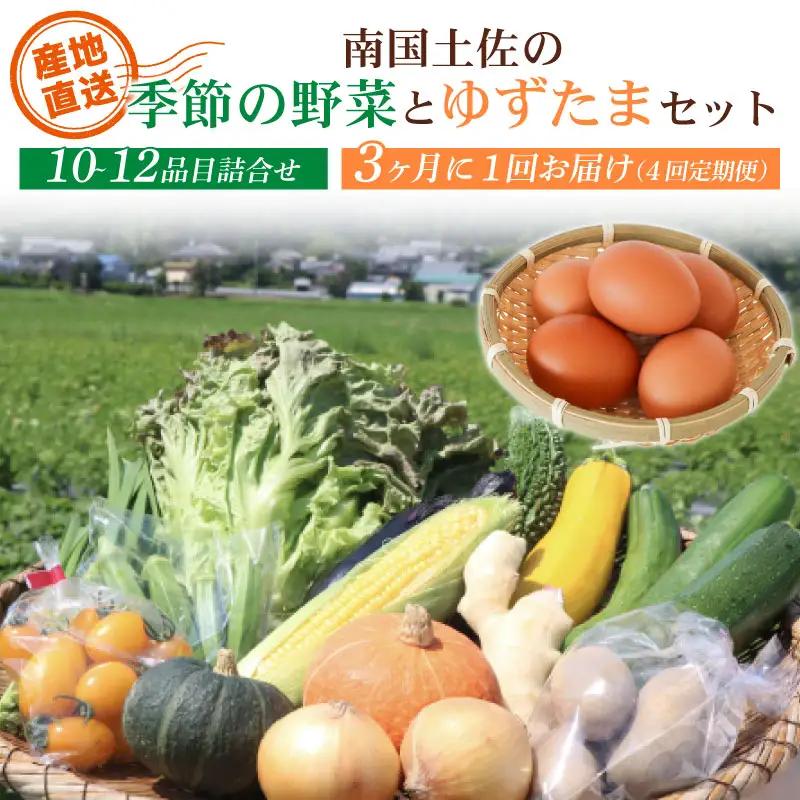 【3ヶ月毎 全4回】土佐の季節野菜と卵セット 野菜 定期便