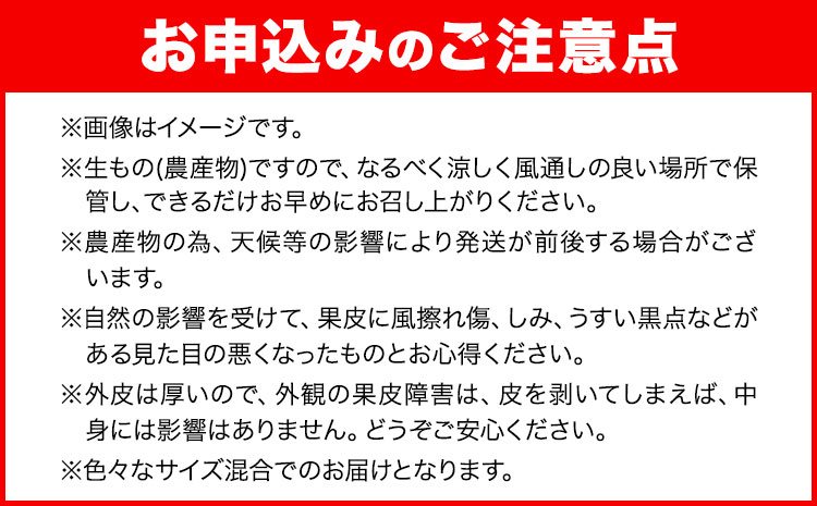 熟成 清見オレンジ 5kg(サイズ混合) どの坂果樹園《2026年3月上旬-5月中旬頃出荷》 和歌山県 日高町 清見オレンジ 旬 柑橘 フルーツ 果物 オレンジ 熟成