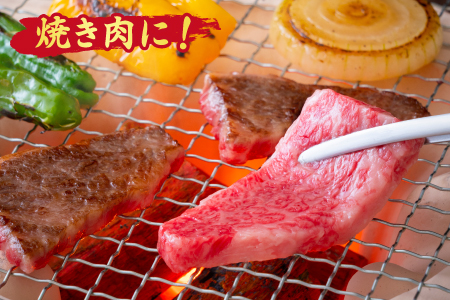 佐賀牛 ロース 焼肉用 800g A5 A4 【期間限定 希少 国産和牛 牛肉 肉 牛 焼肉 リブロース】(H085129)