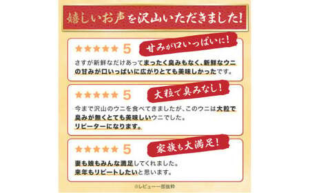 極上 エゾバフンウニ 300g（パック詰）　≪配送期間C≫：1月下旬～3月下旬迄【ウニ ｳﾆ うに 雲丹 ｴｿﾞﾊﾞﾌﾝｳﾆ エゾバフンウニ バフンウニ ﾊﾞﾌﾝｳﾆ 塩水 塩水パック パック詰 パッ