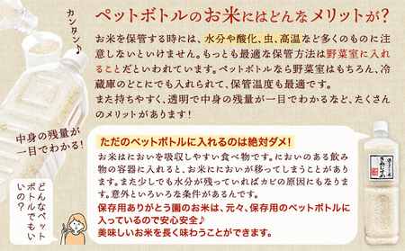 保存用 ありがとう園のお米 きぬむすめ または ひのひかり 21.6kg 1.8kg×12ヶ月 ありがとう園《お申し込み月の翌月から出荷開始》岡山県 矢掛町 米 コメ 定期便 定期