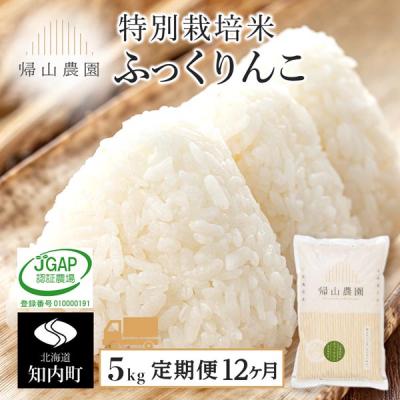 ふるさと納税 知内町 【12カ月定期便】特別栽培米産地直送「ふっくりんこ 5kg」《帰山農園》