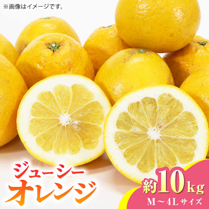 【ふるさと納税】【先行予約】ジューシー オレンジ 約10kg M~4Lサイズ【くまふる】[ZBG012]