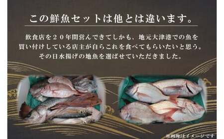 飲食店『食彩太信』店主が選ぶ！大津港地魚鮮魚セット　下処理済み【賞味期限：到着後、冷蔵保存で3日間】(AA105)