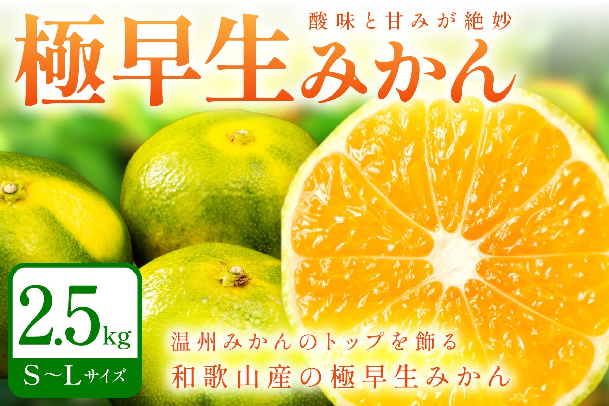 
                  「濃厚な味のとろける美味しさ」極早生みかん 《先行予約》約2.5kg 甘酸っぱいみかん
                