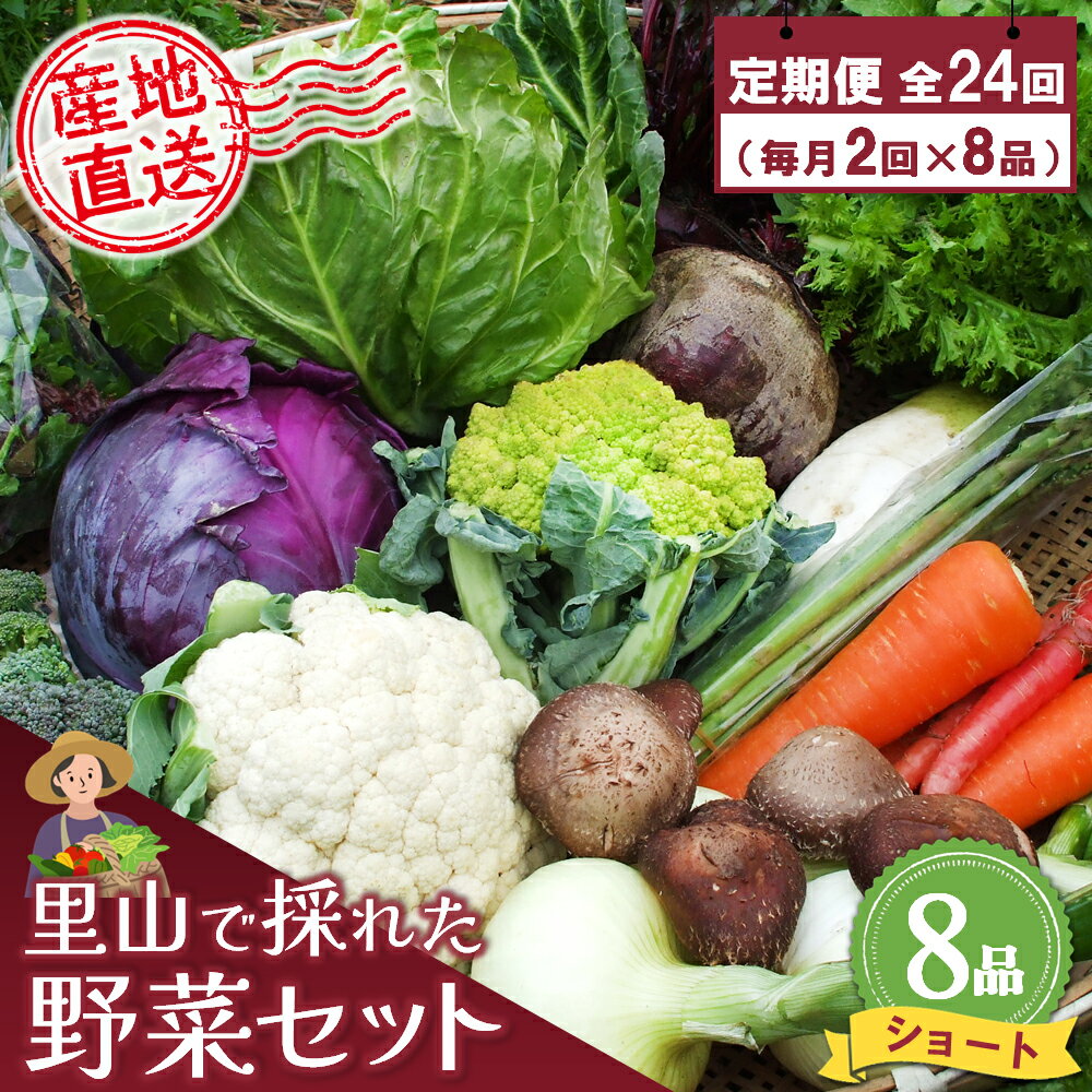 【ふるさと納税】年間定期便24回 里山で採れた野菜セットショート 8品 【有機野菜 おまかせ野菜セット イタリア野菜 西洋野菜 定期便】(H078138)