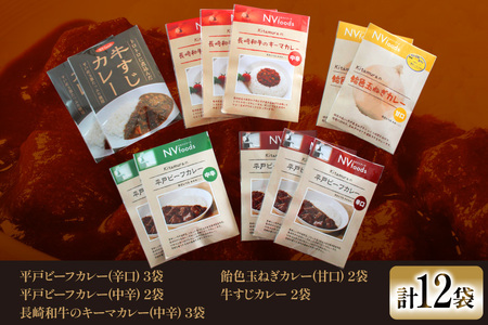 カレー セット カレー 5種 計12袋 セット 3回 定期便 [カレー工房NVfoods 長崎県 平戸市 hr42bgy400057]