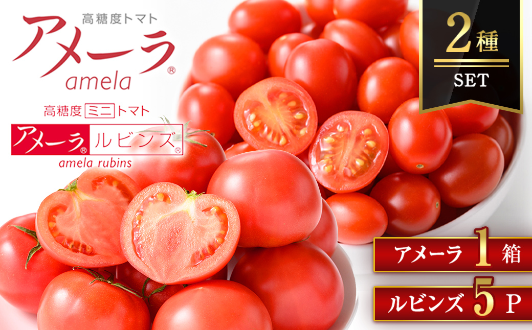 【先行予約】アメーラ＆ルビンズ5P ｜ トマト 野菜 国産