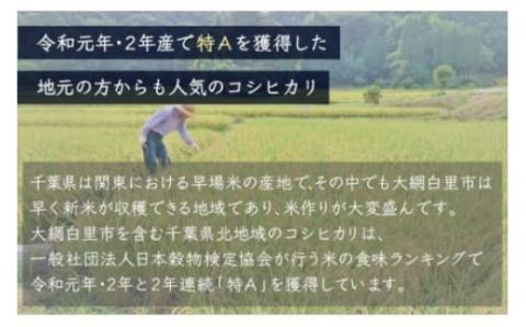 ＜6ヶ月定期便＞千葉県産「コシヒカリ」10kg×6ヶ月連続 計60kg A028