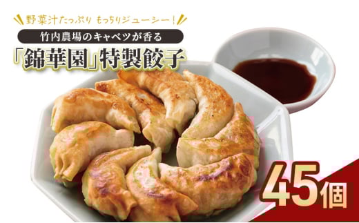 ボリューム満点 手作り冷凍餃子 45個 (15個×3袋)［錦華園］【 野菜 キャベツ たっぷり 厚い 手包み 手作り もちもち モチモチ 汁 町中華 中華 北海道 十勝 幕別 】[№5749-1595]