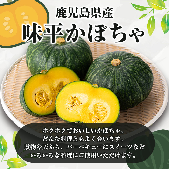 ＜2025年5月以降発送予定＞鹿児島県産 味平かぼちゃ(約5kg) 国産 野菜 かぼちゃ カボチャ 南瓜 煮物 天ぷら バーベキュー BBQ スイーツ お菓子【松永青果】a-16-29