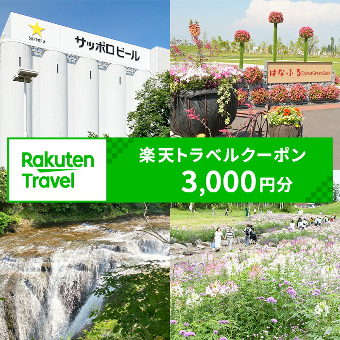 【ふるさと納税】北海道恵庭市の対象施設で使える 楽天トラベルクーポン 寄付額10,000円(クーポン3,000円)　【970002】