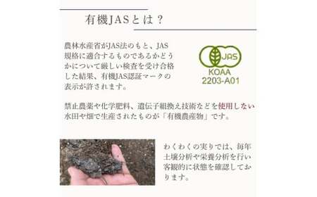 【先行予約】オーガニック サマーグリーンアスパラガス L 500g アスパラガス