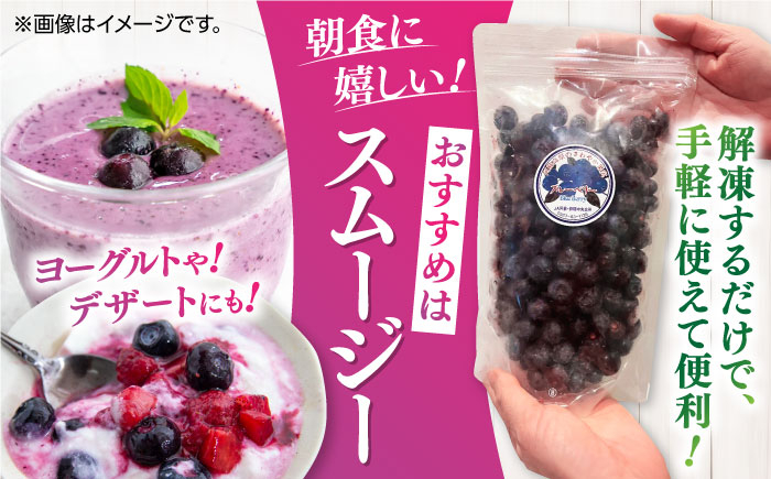【全6回定期便】旬の美味しさそのまま！完熟 冷凍ブルーベリー 計1kg (約500g×2パック)