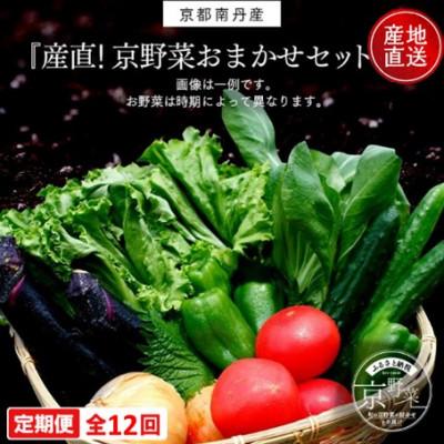 ふるさと納税 南丹市 【毎月定期便】【産地直送】旬のお野菜詰め合わせ 京野菜セット 6〜8種類全12回