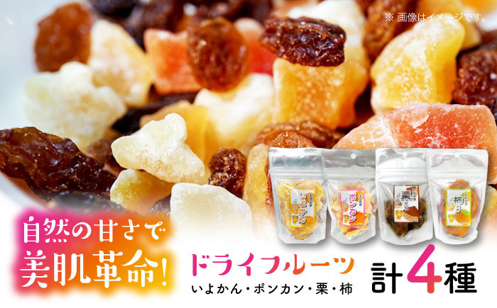 
            ドライフルーツ４種セット（いよかん・ポンカン・栗・柿） ドライフルーツ フルーツ 果物 くだもの 健康 おやつ 愛媛県大洲市/愛媛たいき農業協同組合加工部 [AGAQ001]
          