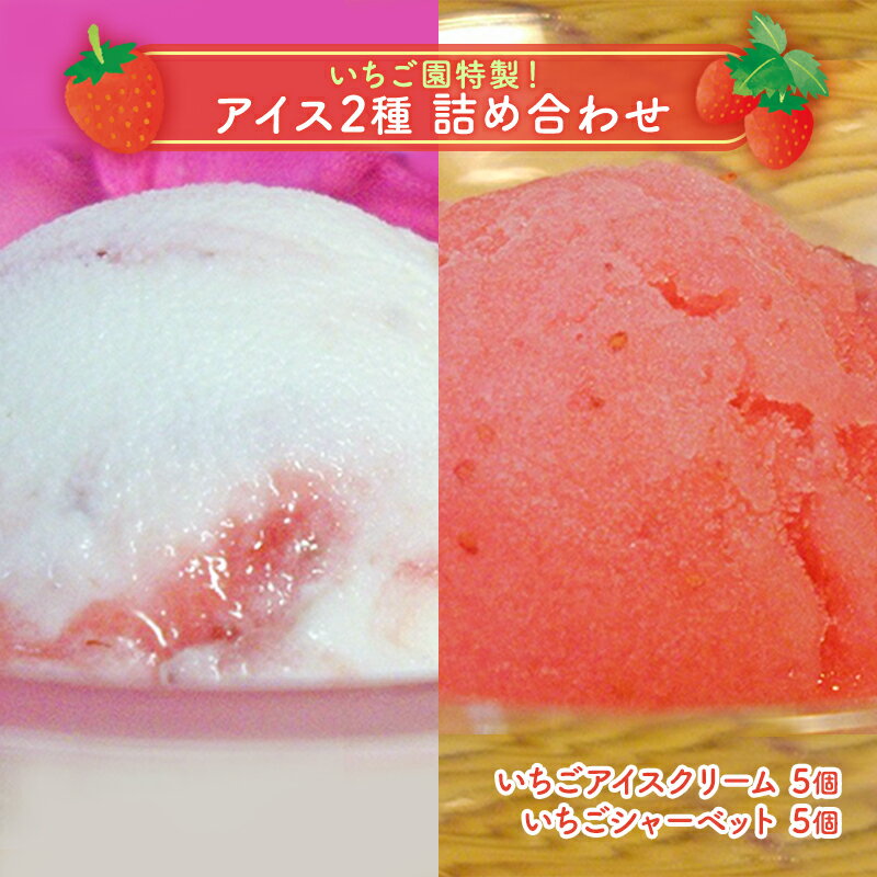 【ふるさと納税】いちごアイス 2種 各5個 セット 浜いちご アイスクリーム シャーベット 詰め合わせ フルーツアイス フルーツシャーベット いちご お菓子 菓子 おやつ デザート スイーツ 千葉 千葉県 九十九里町 九十九里