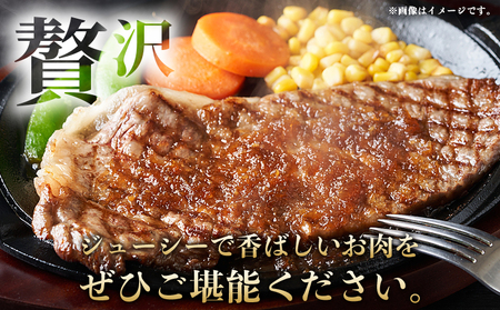 ＜熟成肉 はなが牛 ロースステーキ 2枚（1枚200g）＞ 牛肉 牛 肉 ろーすすてーき ステーキ サーロイン ブランド牛 鉄板焼き 焼き肉 焼肉 バーベキュー BBQ 国産 小分け 特産品 愛媛県 