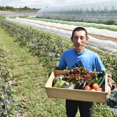 ふるさと納税 旭川市 【北海道】旬の野菜詰め合わせ[6〜8種類]栽培期間中農薬・化学肥料不使用_02944 |  | 02