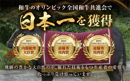 飛騨牛 カルビ焼肉 500g 冷凍 焼き肉 JAひだ 飛騨牛 [AH003]