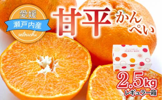 ＜先行受付＞大人気！ 甘平 レギュラー箱 2.5kg みかん ミカン 柑橘 かんきつ オレンジ 甘平みかん かんぺい 大人気 フルーツ 甘い 果物 JA 越智今治 おちいまばり 愛媛ミカン 愛媛県 上島町