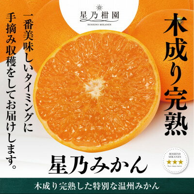 【ふるさと納税】【三つ星ブランド】星乃みかん(3kg)【A45-96】【1625777】